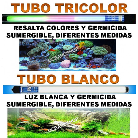 Luz sumergible blanco bajo consumo.