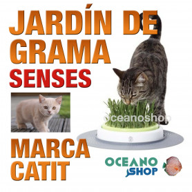 CATIT SENSES JARDIN DE GRAMA CATIT SENSES JARDIN DE GRAMA
