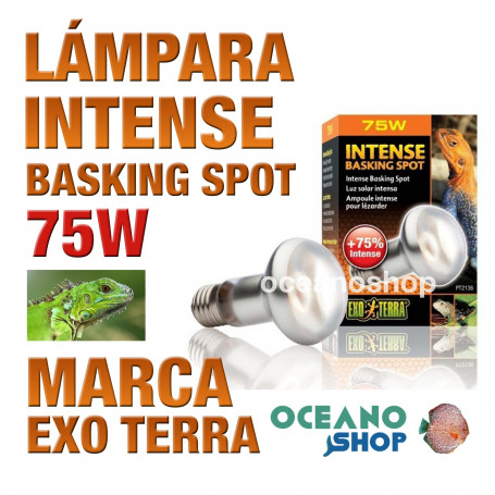 lámpara-reptiles-intense-basking-spot-75w-exo-terra