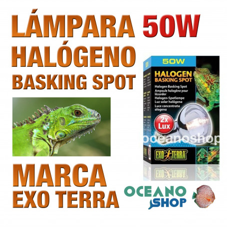 lámpara-reptiles-halógeno-basking-spot-50w-exo-terra