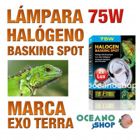 lámpara-reptiles-halógeno-basking-spot-75w-exo-terra