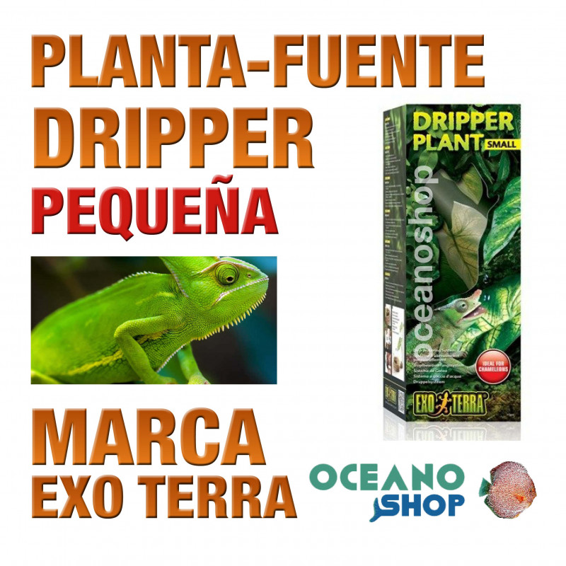 Dripper plant for chameleon sales