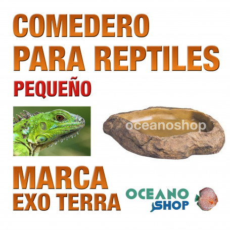 comedero-para-todo-tipo-de-reptiles-pequeño-5x4x3cm-exo-terra