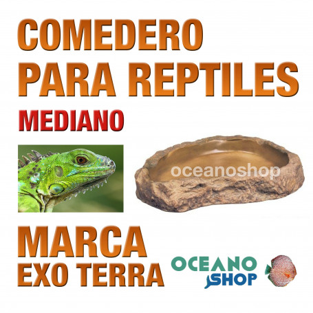 comedero-para-todo-tipo-de-reptiles-mediano-8x7x13cm-exo-terra