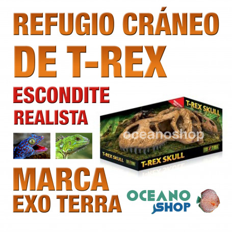 refugio-para-reptiles-t-rex-skull-cráneo-de-t-rex-exo-terra