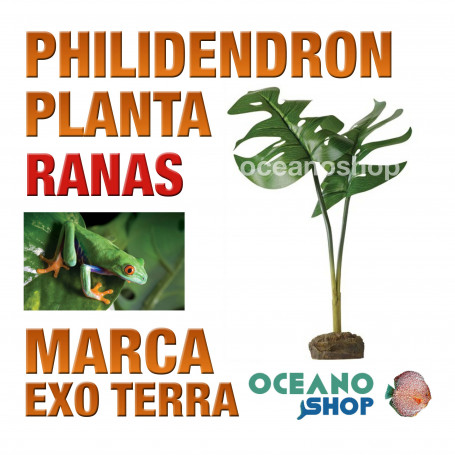 planta-philidendron-smart-plant-para-ranas-arbícolas-exo-terra