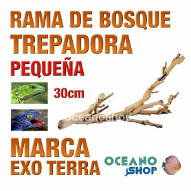 RAMA DE BOSQUE FOREST BRANCH TREPADORA PARA REPTILES Y ANFIBIOS Pequeña Exo Terra rama-de-bosque-forest-branch-trepadora-para-reptiles-y-anfibios-pequeña-exo-terra