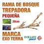 rama-de-bosque-forest-branch-trepadora-para-reptiles-y-anfibios-pequeña-exo-terra