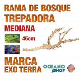 rama-de-bosque-forest-branch-trepadora-para-reptiles-y-anfibios-mediana-exo-terra