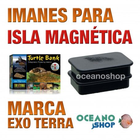 imanes-para-isla-flotante-mágnetica-montículo-tortugas-exo-terra