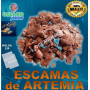 artemia escamas alevines discos copos salina huevos criar discos