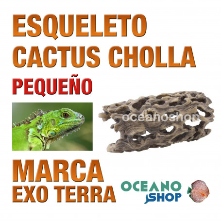 réplica-de-esqueleto-de-cactus-cholla-decoración-de-terrarios-pequeña-exo-terra