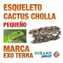 réplica-de-esqueleto-de-cactus-cholla-decoración-de-terrarios-pequeña-exo-terra