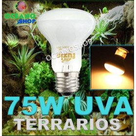 Bombilla 75w UVA para terrarios o incubadoras Bombilla 75w UVA para reptiles anfibio tortuga reptil rana terrarios o incubadoras
