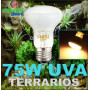 Bombilla 75w UVA para reptiles anfibio tortuga reptil rana terrarios o incubadoras