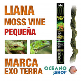 liana-flexible-impremeable-musgo-para-anfibios-arbícolas-pequeña-exo-terra