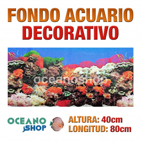 Fondo 80x40cm acuario decorativo vinilo fondo coral marino peces calidad