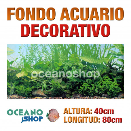 Fondo 80x40cm acuario decorativo vinilo fondo plantas marinas marino peces calidad