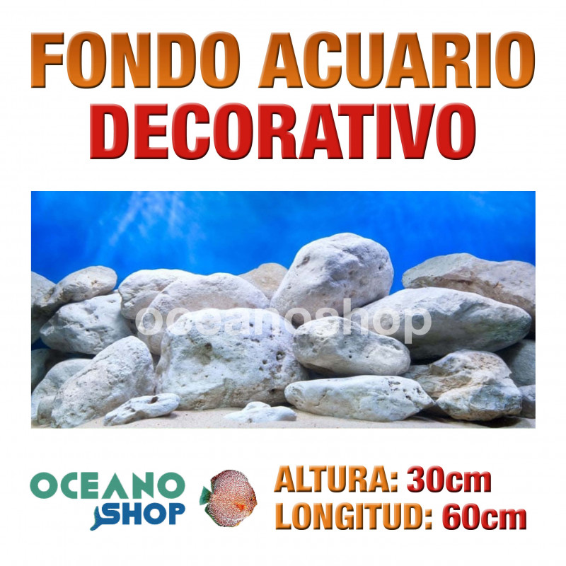 Fondo 60x30cm acuario decorativo fondo rocas blancas marino peces calidad