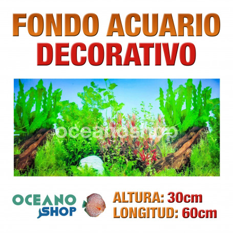 Fondo 60x30cm acuario decorativo vinilo fondo plantas marino peces calidad