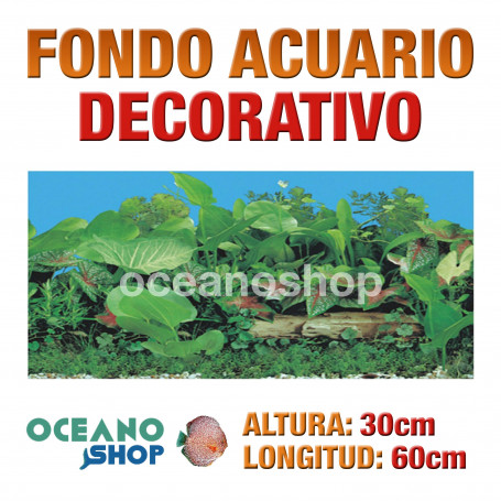 Fondo 60x30cm acuario decorativo vinilo fondo tronco y plantas marino peces calidad