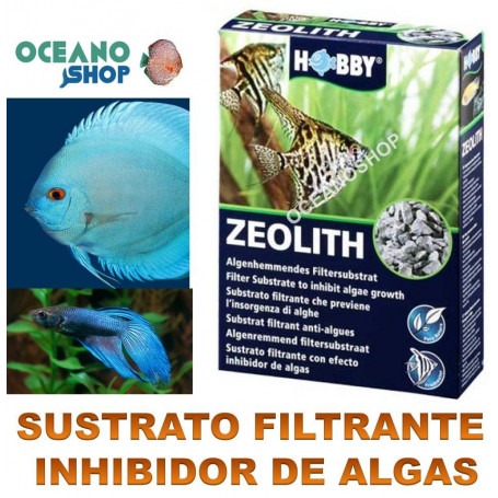 sustrato filtrante con efecto inhibidor antialgas de algas hobby