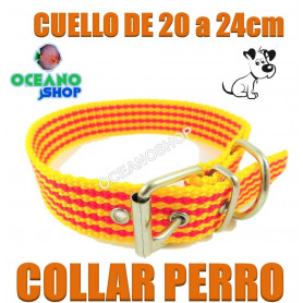 Collar perro bandera catalana ancho 2,5cm cuello 20-24cm collar perro cataluña señera pais catala catalan 20 24cm