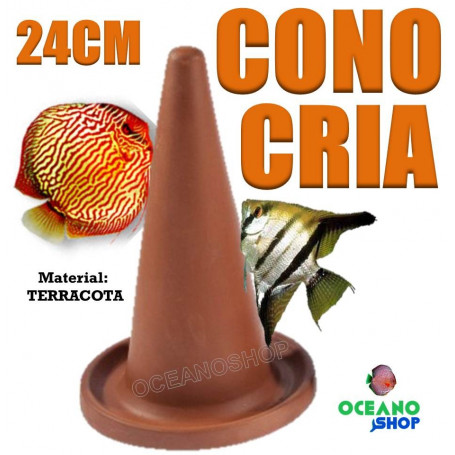 cono cria discos escalares desove reproducción alevines acuario