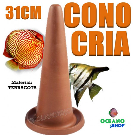 cono cria discos escalares desove reproducción alevines acuario 31cm