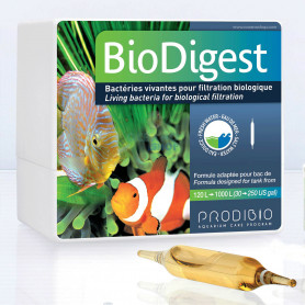 Prodibio Biodigest Prodibio Biodigest