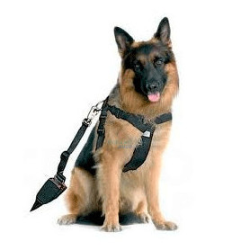 Arnés para perros con cinturón de seguridad arquivet Arnés para perros con cinturón de seguridad arquivet