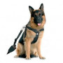 Arnés para perros con cinturón de seguridad arquivet