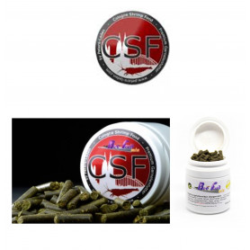 CSF BEE FRUIT MIX 10GR CSF BEE FRUIT MIX 10GR