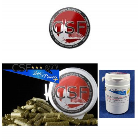 CSF BERG POWER +