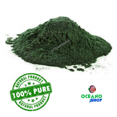 spirulina espirulina acuario peces papilla barata alimentación cocina