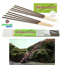 GLASGARTEN Shrimp Lollies Walnuss Power GLAS GARTEN Shrimp Lollies – Walnuss Power