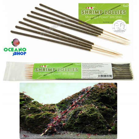 Glass garten shrimp lollies moringa power