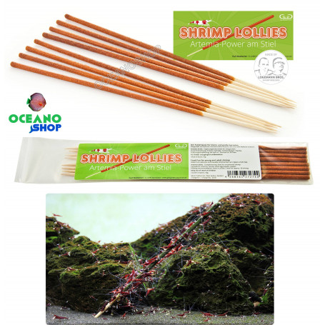 Glass garten shrimp lollies artemia power