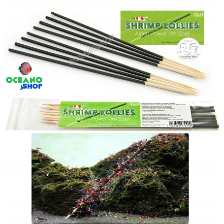 Glass garten shrimp lollies algen power