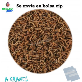 Larva roja de mosquito fd liolifizada Larva roja de mosquito fd liolifizada