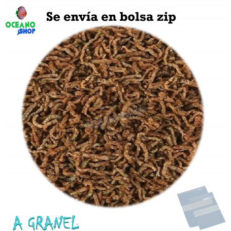 Larva roja de mosquito fd liolifizada