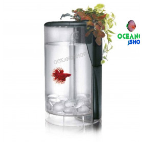 Ocean Free Kit Betta Flora Led 2L BLANCO Ocean Free Kit Betta Flora Led 2L BLANCO