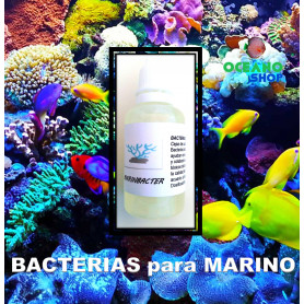 Marinbacter bacterias marino 30ml marinbacter bacterias cepa concentrada agua marina marino acuario