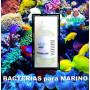 marinbacter bacterias cepa concentrada agua marina marino acuario