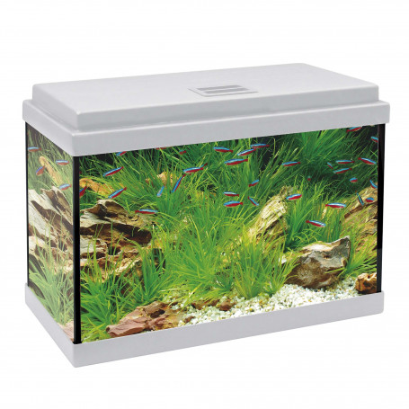 Kit aqualed 20 con filtro interior (20 l)