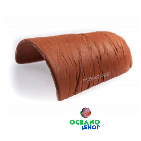 Teja cueva barro loricaridos N-26256