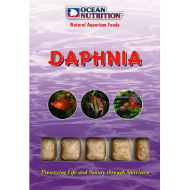 Daphnia ocean nutrition Daphnia ocean nutrition