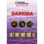 Daphnia ocean nutrition