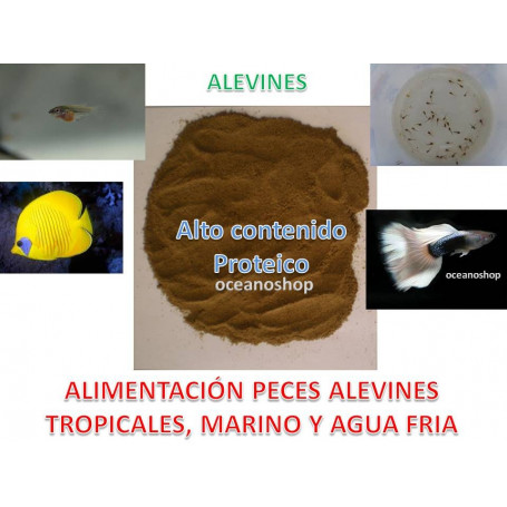 Comida Micro Alimento Cria para Alevines Peces Tropicales marino y agua fria