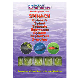 Espinacas ocean nutrition Espinacas ocean nutrition